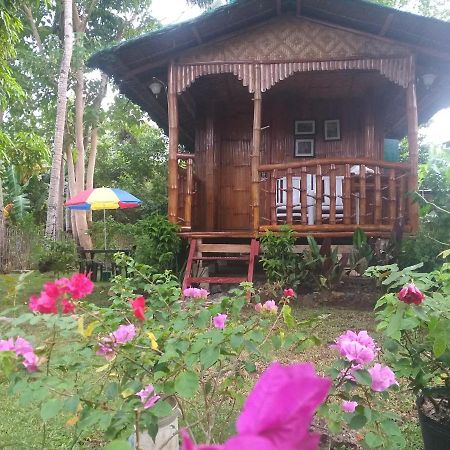 Апартаменти Casa De Corazon Анда Екстер'єр фото